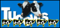 5 mucche su Tucows Office!